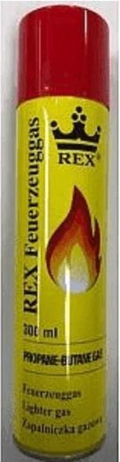 Hofftech Universeel Aanstekergas Propaan - Butaan Gas - 300 Ml -Optimaal Barbecue Winkel 313x1200