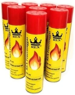 Hofftech Universeel Aanstekergas Propaan - Butaan Gas - 300 Ml -Optimaal Barbecue Winkel 943x1200